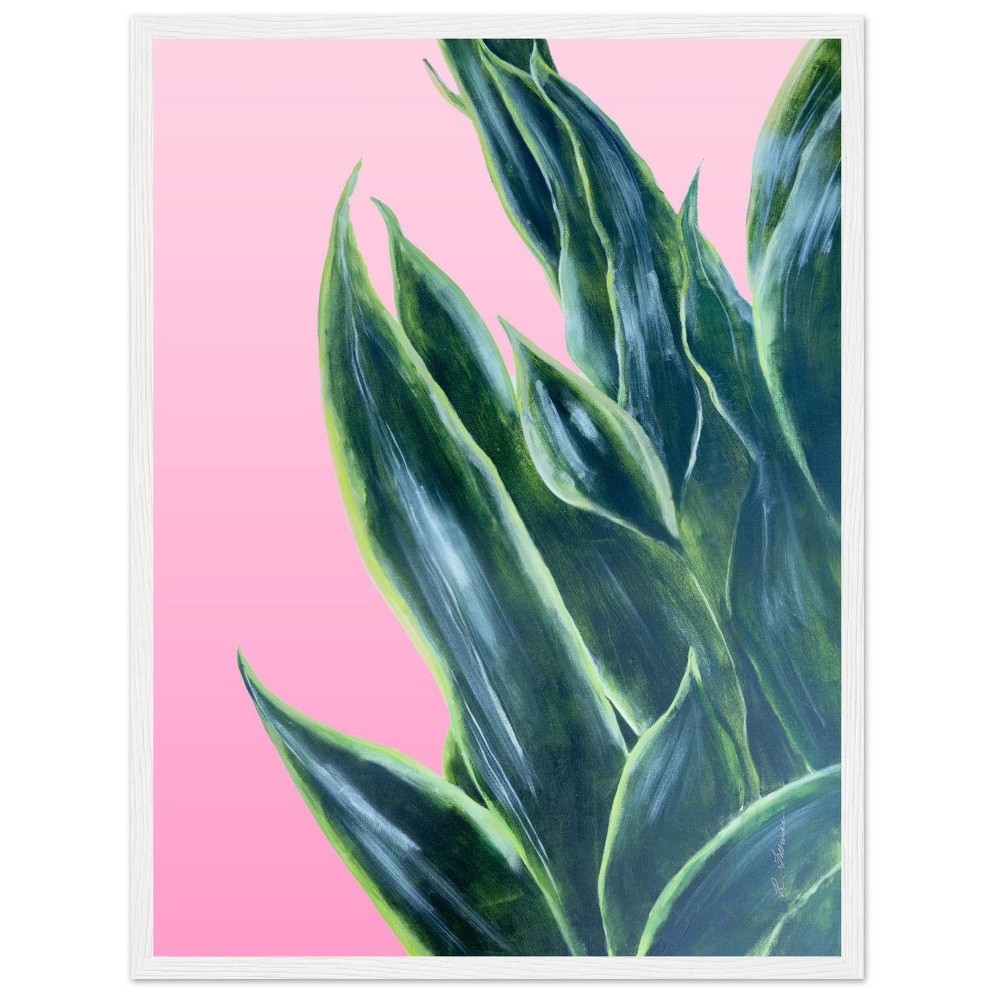 Snake Plant on Ombre Pink Background - Wooden Framed Poster