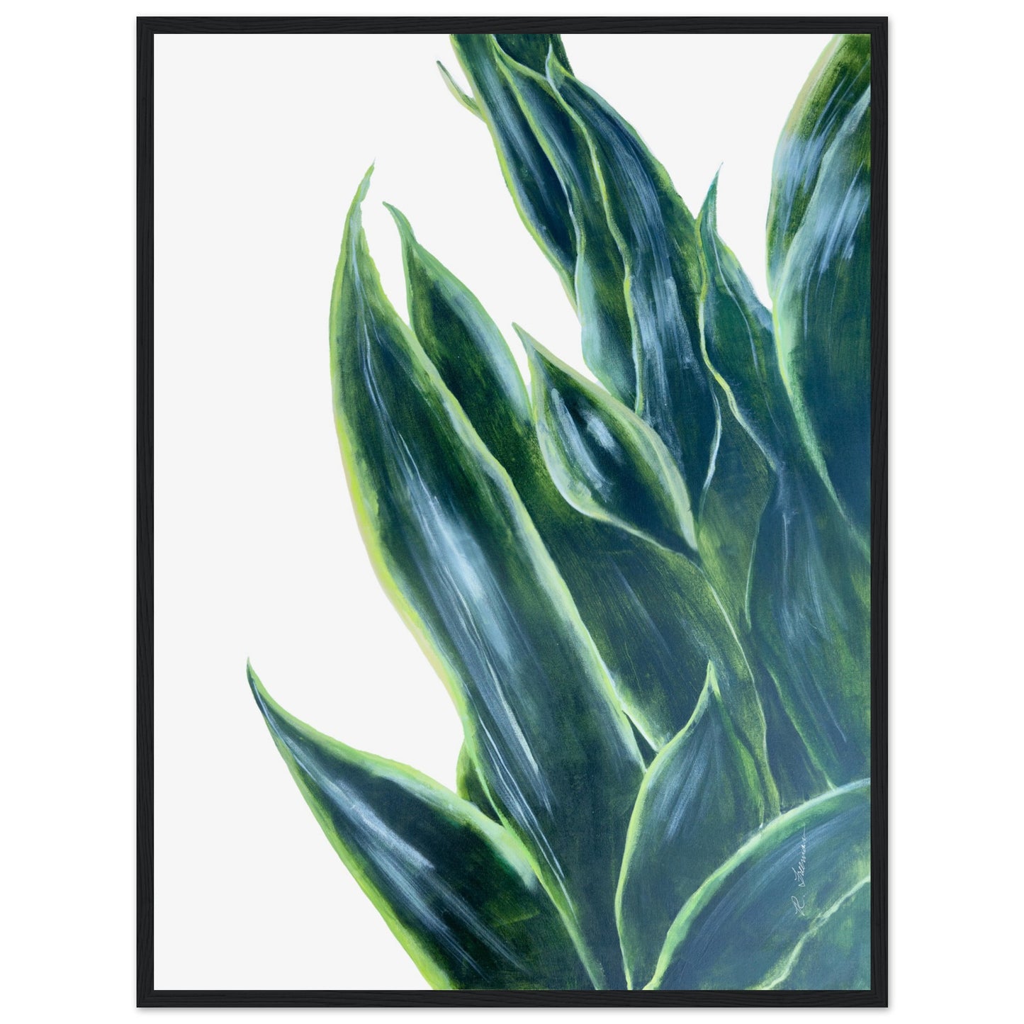 Snake Plant - Framed Poster Print