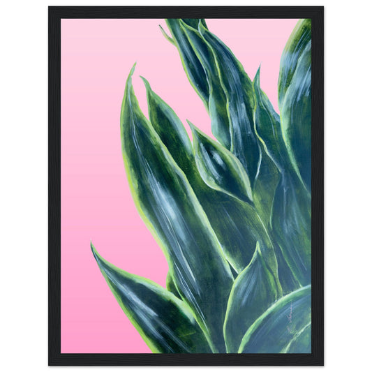 Snake Plant on Ombre Pink Background - Wooden Framed Poster