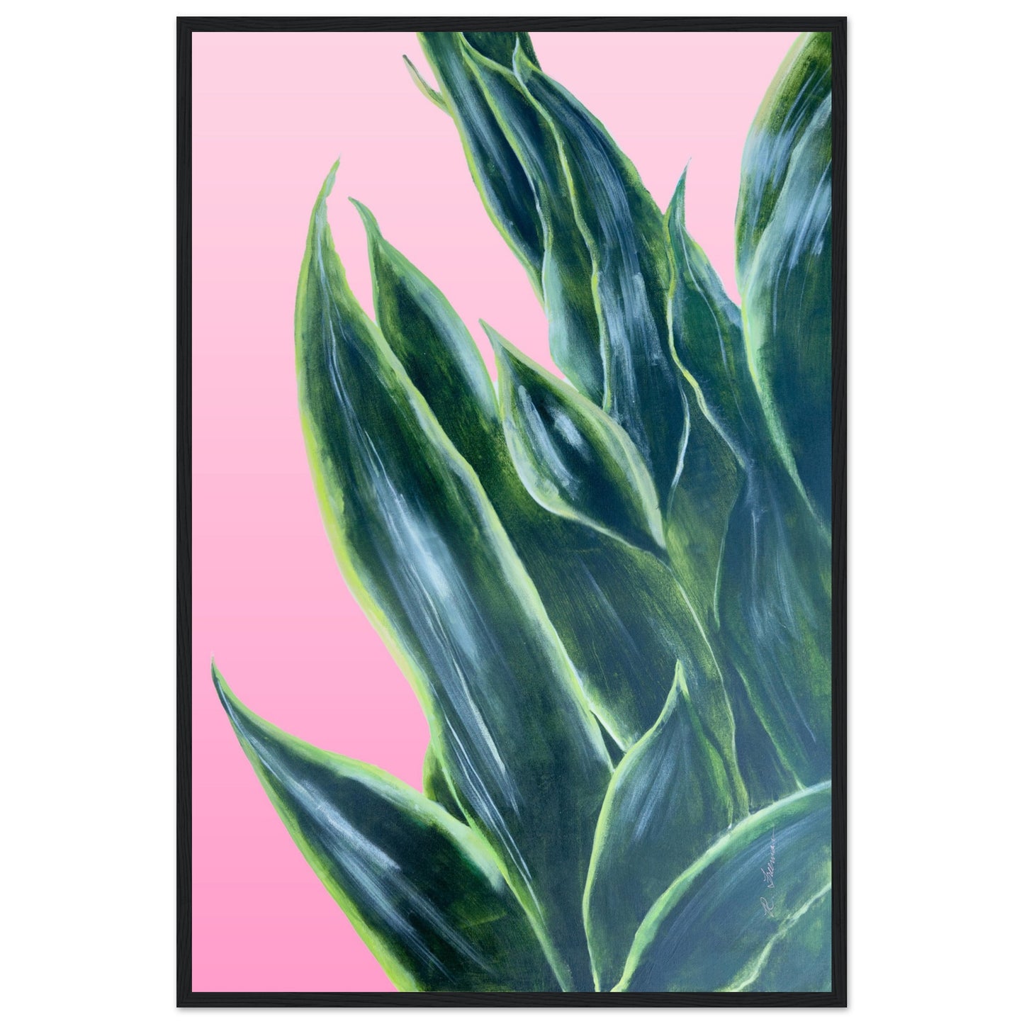 Snake Plant on Ombre Pink Background - Wooden Framed Poster