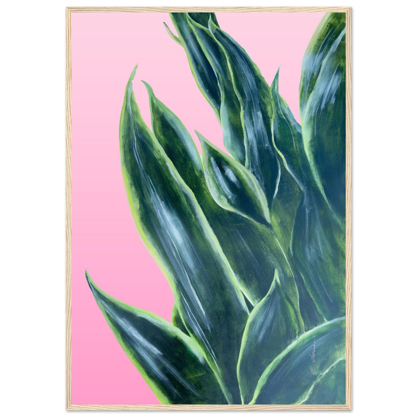 Snake Plant on Ombre Pink Background - Wooden Framed Poster