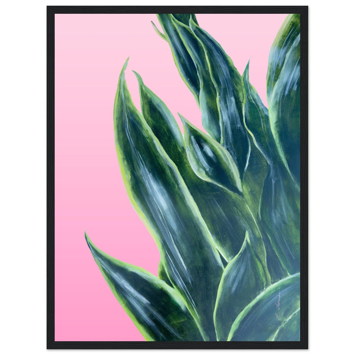 Snake Plant on Ombre Pink Background - Wooden Framed Poster