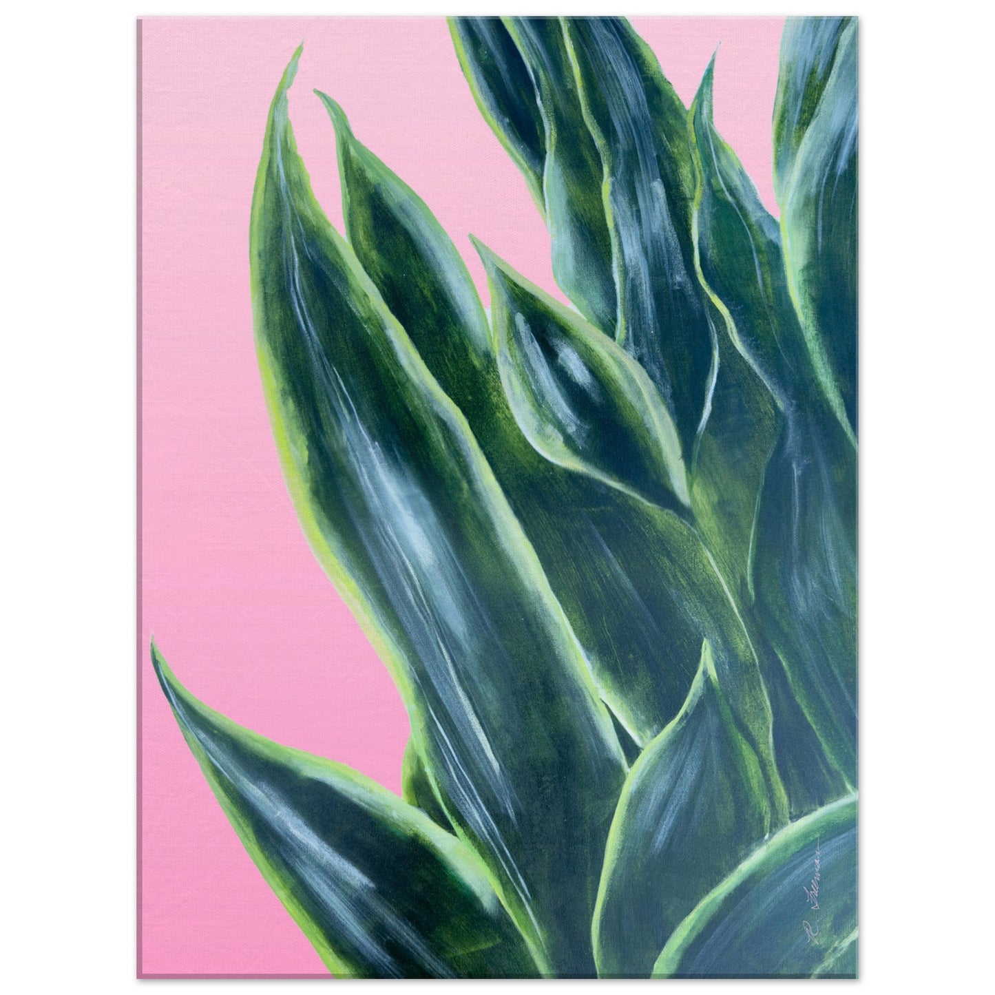 Snake Plant on Ombre Pink Background - Canvas Print