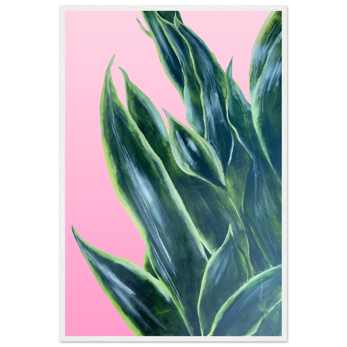 Snake Plant on Ombre Pink Background - Wooden Framed Poster