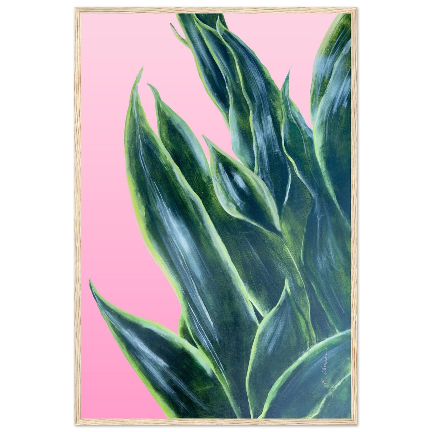 Snake Plant on Ombre Pink Background - Wooden Framed Poster