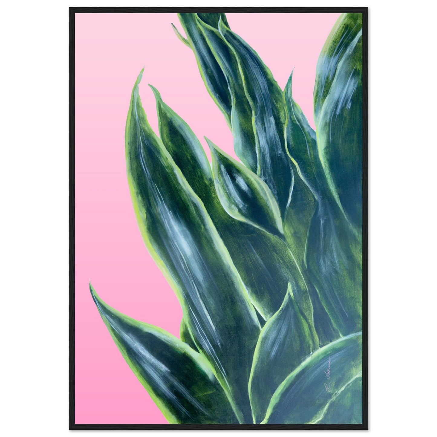 Snake Plant on Ombre Pink Background - Wooden Framed Poster