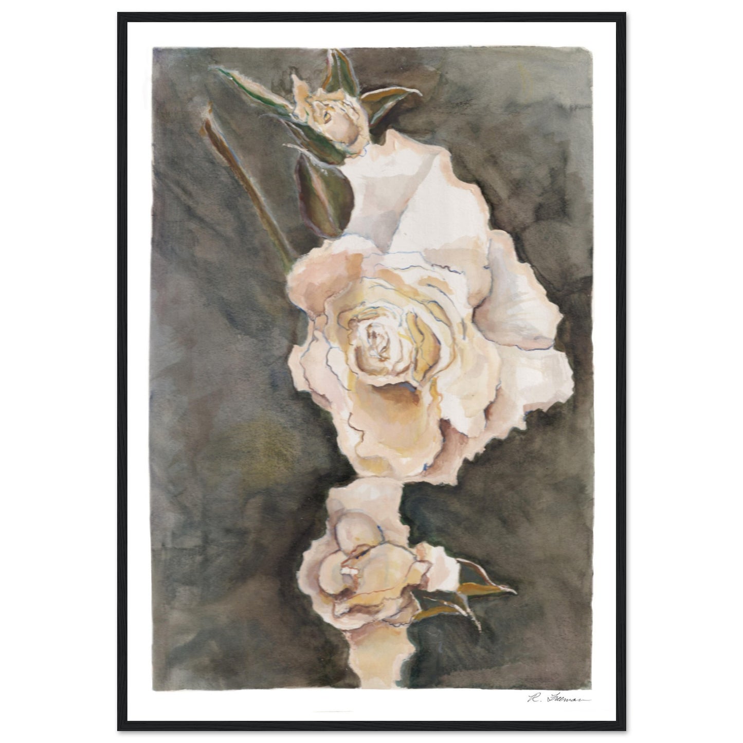 White Roses - Framed Poster Print