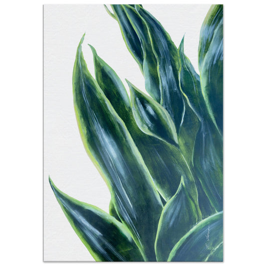 Snake Plant - Canvas Print