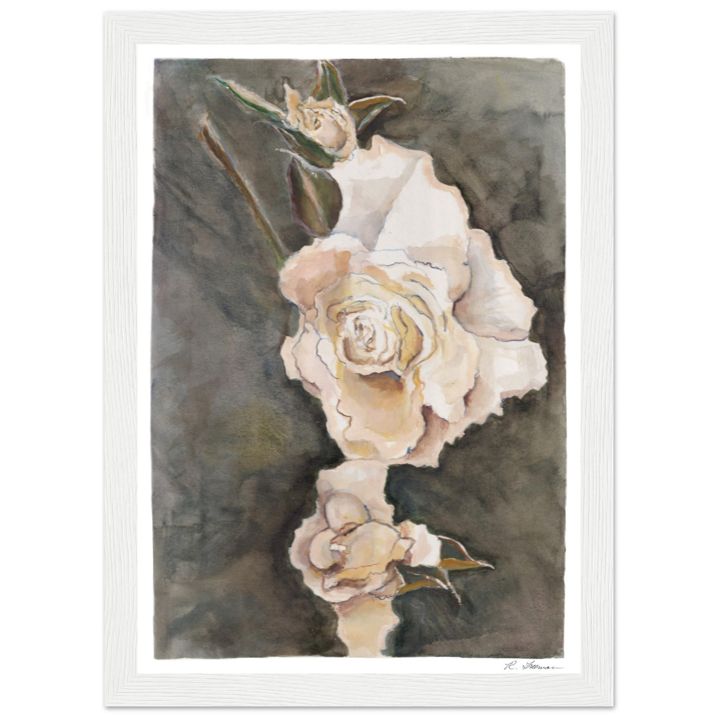 White Roses - Framed Poster Print